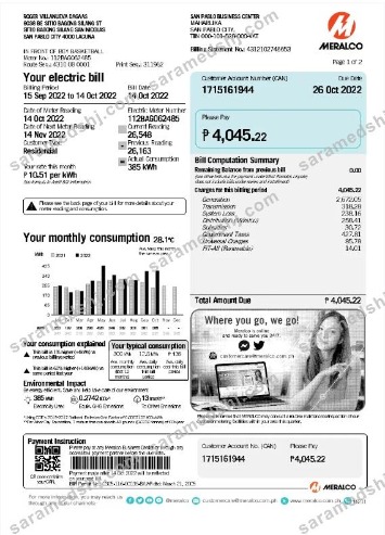 PHILIPPINES MERALCO utility bill Word and PDF template